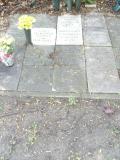 image of grave number 253687